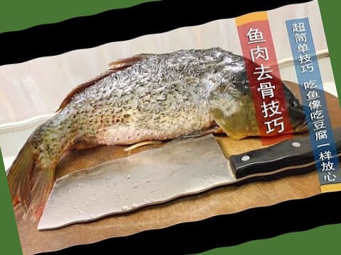 刺鯉魚意思